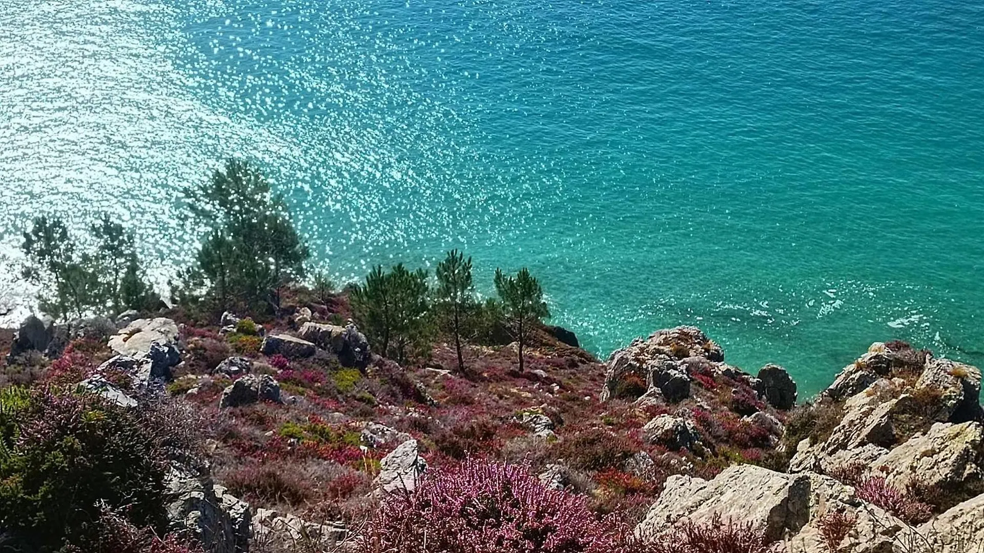 빌라 Maison 3 Chambres Spa Centre Morgat, Les Plages Et Les Restaurants A Pied 크로종