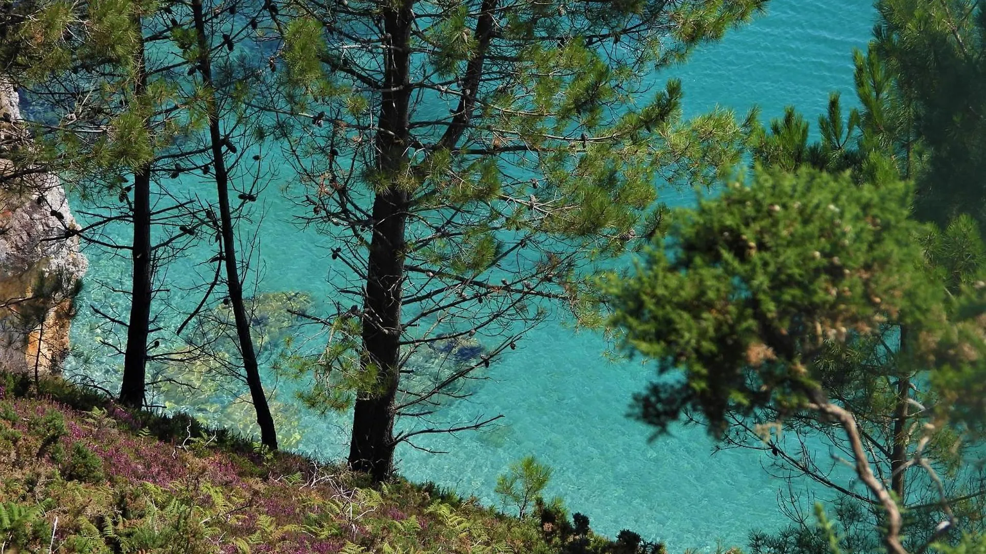 Maison 3 Chambres Spa Centre Morgat, Les Plages Et Les Restaurants A Pied 크로종 빌라