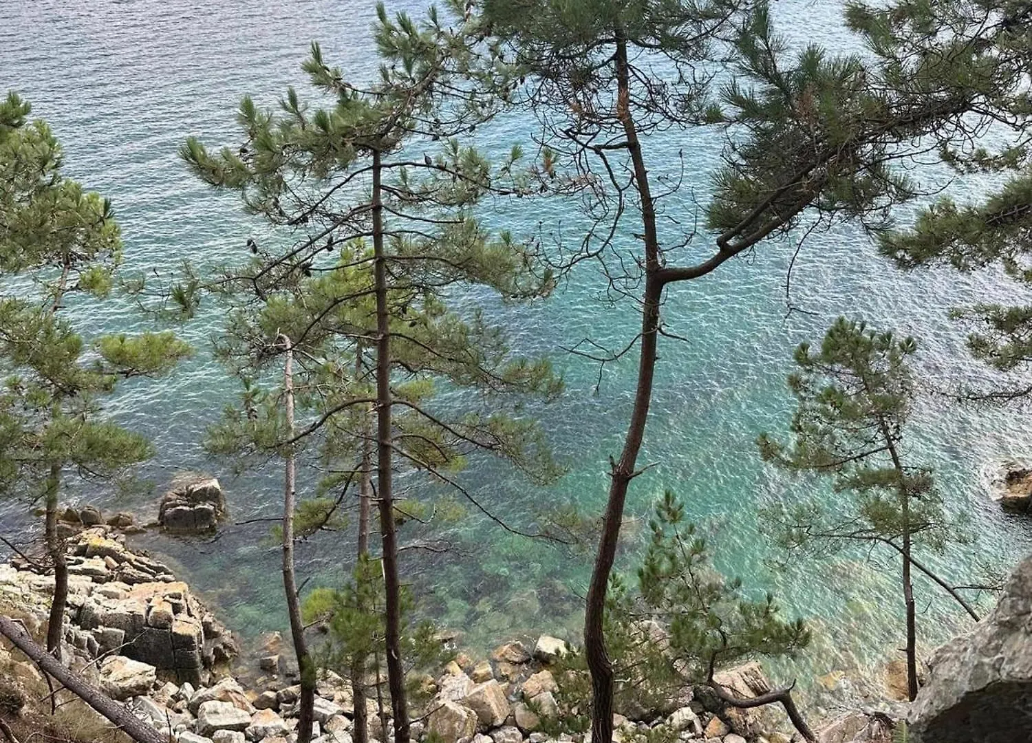 Maison 3 Chambres Spa Centre Morgat, Les Plages Et Les Restaurants A Pied 크로종 빌라